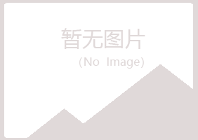 同德县伤口能源有限公司